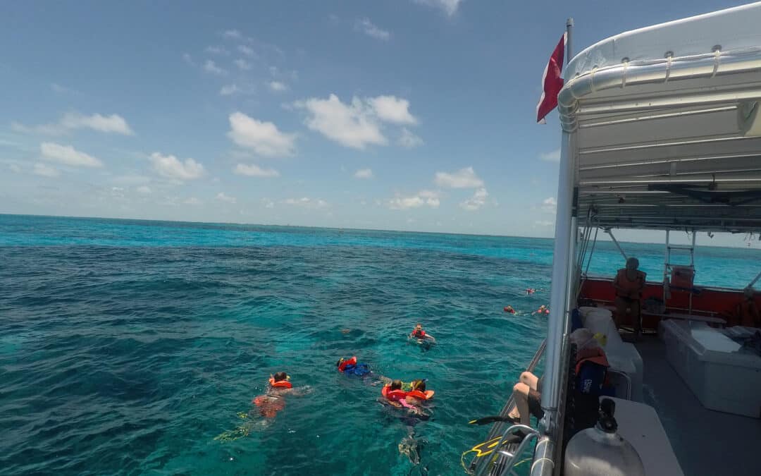 Best Places to Snorkel in Key West