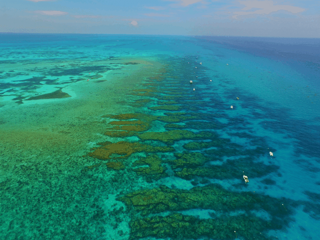 best places to snorkel in key west