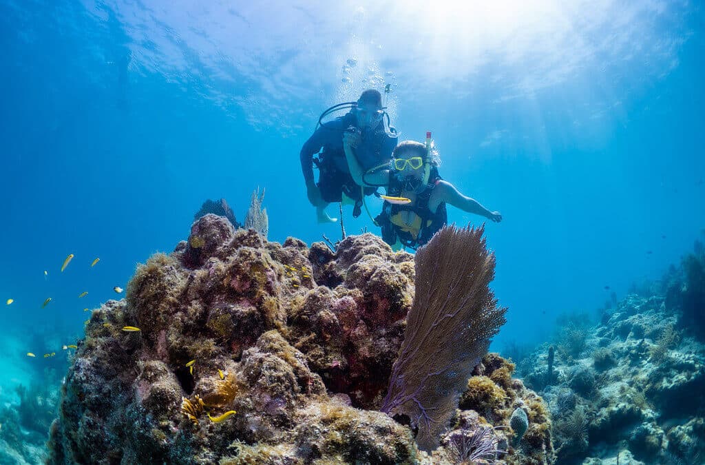 Best Time to Scuba Dive in Key West – The Ultimate Guide!