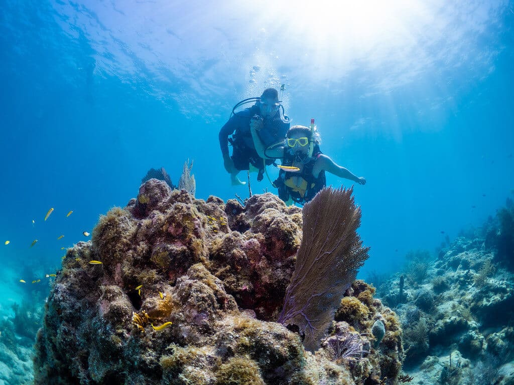 best time to dive in key west